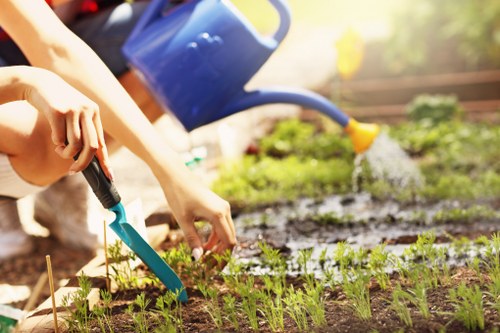 Beautifully landscaped garden showcasing Woolwich Gardening Services' expertise