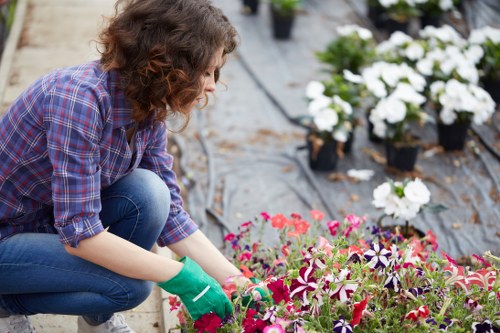 Planning garden work and requesting a quotation