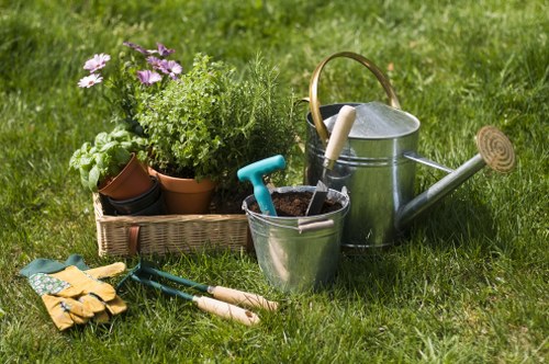 Professional garden clearance in Woolwich showcasing a tidy garden space