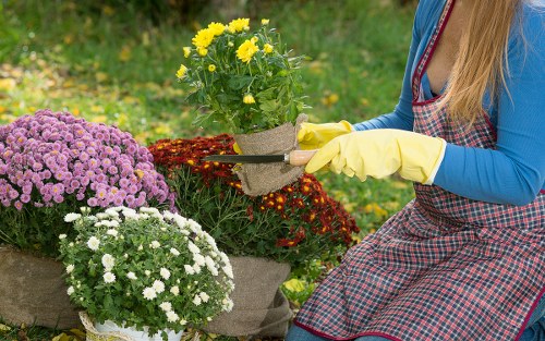 Gardener preparing garden tools at a Woolwich property
