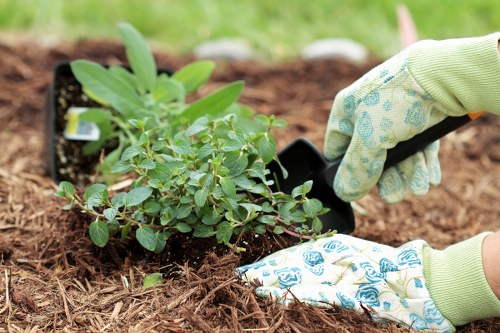 Seasonal garden maintenance tasks in Woolwich