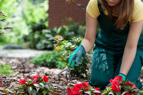 Gardener working in a Woolwich front garden next to terraced houses