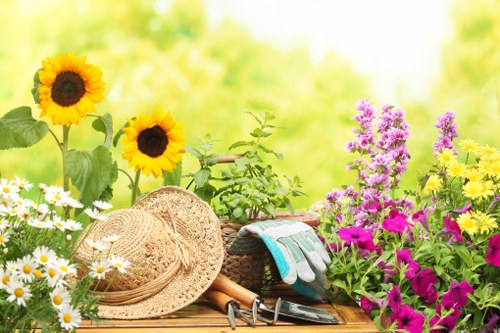 Essential garden maintenance tools in Woolwich