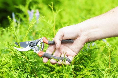 Safe disposal of garden waste by Woolwich clearance professionals
