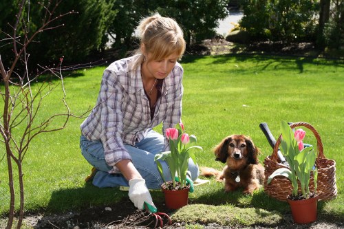 Comprehensive gardening solutions offered by Woolwich Gardening Services