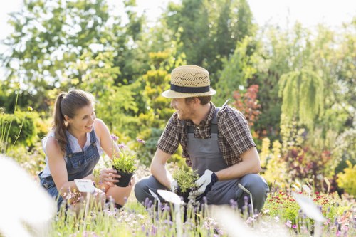 Personalized gardening services tailored to client needs