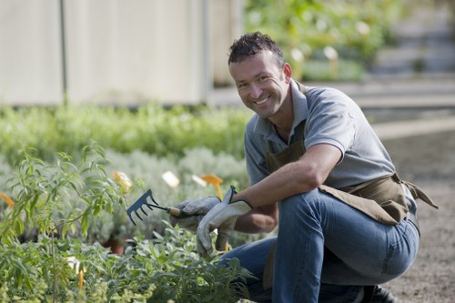 A man with short dark hair, smiling, wearing a grey shirt and an apron, is kneeling on a garden pathway in a backyard or front garden set in Woolwich. He is holding a small hand rake in his right hand and is surrounded by a variety of garden plants, including low-growing leafy shrubs and flowering plants with yellow blossoms. The garden features a neatly maintained lawn in the foreground, edged by a paved pathway made of small, light-colored stones or concrete slabs, and bordered by wooden fencing and a hedge along the background. In the background, there are larger trees and additional greenery, indicating a well-established outdoor space. The scene appears to be on a bright, partly cloudy day, with natural light illuminating the garden and the manâ€™s face. The setting reflects a professionally maintained garden that could benefit from seasonal gardening services offered by Gardening Services Woolwich, emphasising tidy, healthy plant growth and landscape upkeep.
