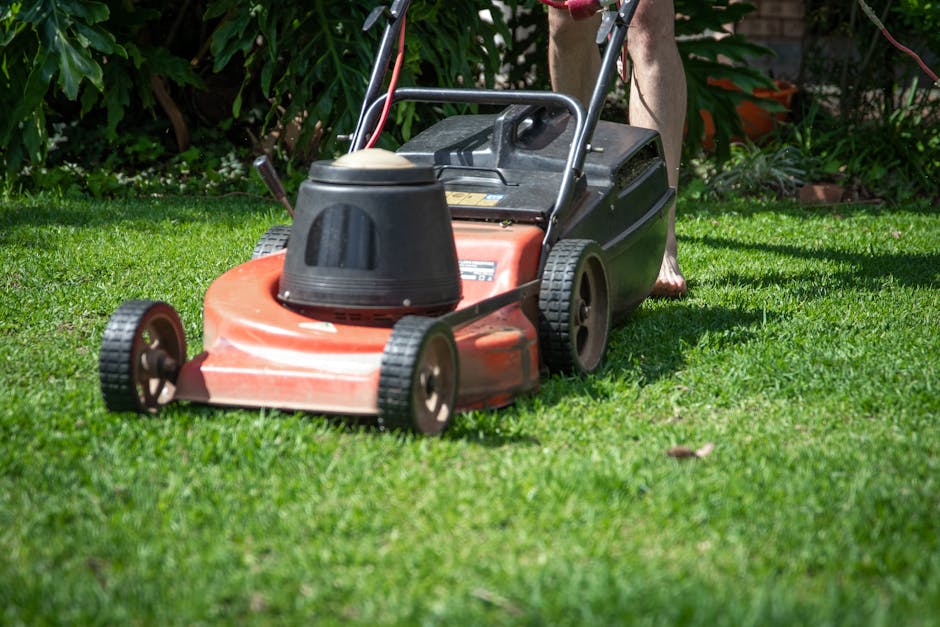 A metal wheelbarrow filled with garden refuse, including wilted leaves, flowers, and plant debris, sits in a lush green garden with neatly trimmed grass. The wheelbarrow has black handles, a single la