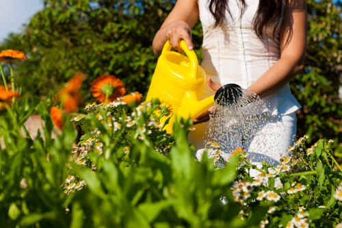 A woman in a white dress is watering a diverse and vibrant garden with a yellow watering can, surrounded by various flowering plants, including orange and white blossoms, and lush green foliage. The garden features a well-maintained lawn area with dense grass, bordered by flower beds and shrubbery, situated in a paved outdoor space that appears to be part of a backyard or front garden in Woolwich. In the background, there are trees and additional crops, indicating a landscaped outdoor environment. The scene is lit by natural daylight, suggesting clear weather, and highlights the healthy, natural tones of the garden's plants and soil. This setting demonstrates typical features of a residential garden that might benefit from professional landscaping or gardening services in Woolwich to maintain its tidy, colorful appearance and healthy plant growth.